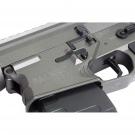 Airsoft AR-15 (APS ASR-6 Falkor Defense)