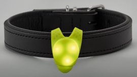 Svietiaci LED prívesok na obojok Hunter