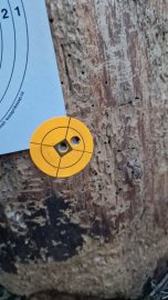 Recenzia: H&N Heavy Slug 6.35mm/.250 2.72g/42gr - 1