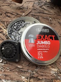 Recenzia: Diabolo JSB Exact Jumbo 5,52mm 250ks - 1