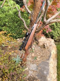 Recenzia: Vzduchovka Cometa Fenix 400 Star 6,35mm - 27J - 1