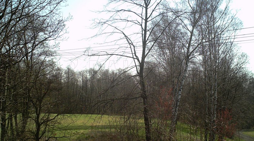Forestcam Malá fotopasca
