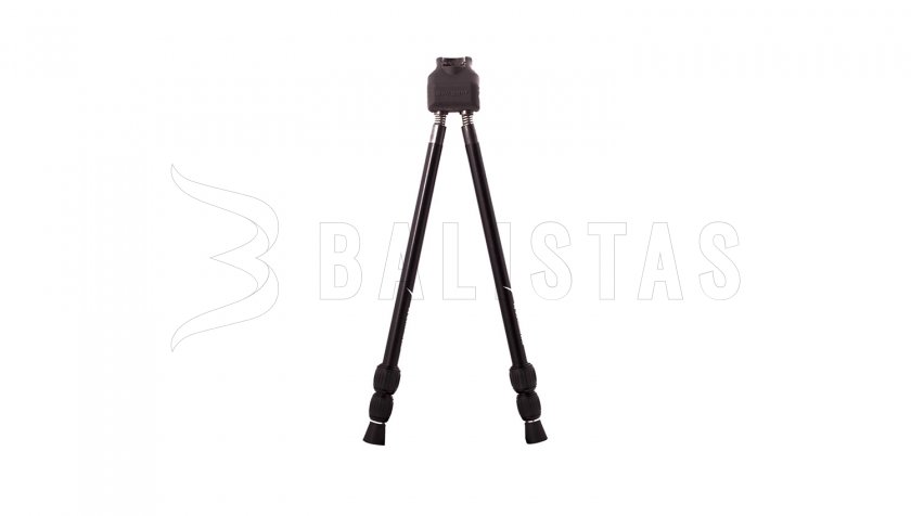 Dvojnožka Swagger Stalker QD42