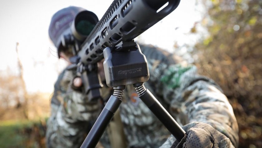 Dvojnožka Swagger Stalker QD42