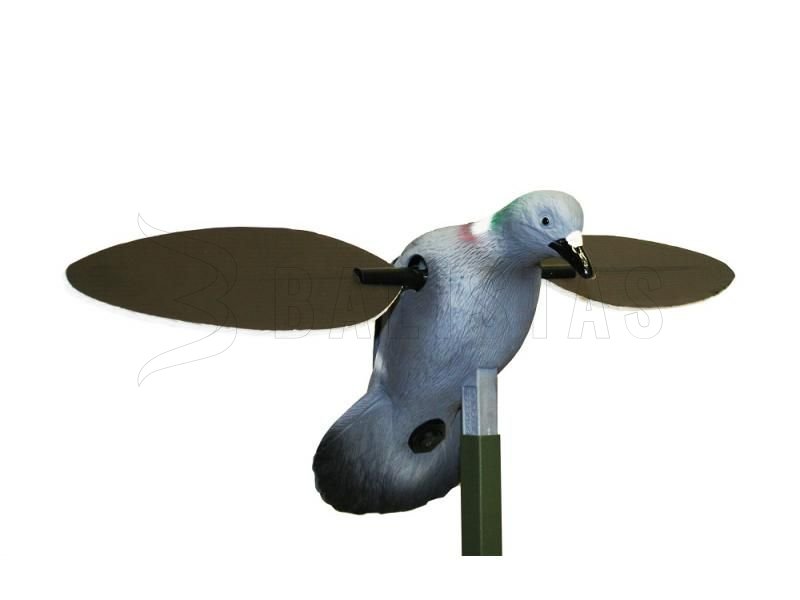 Balaban MOJO Pigeon - Holub