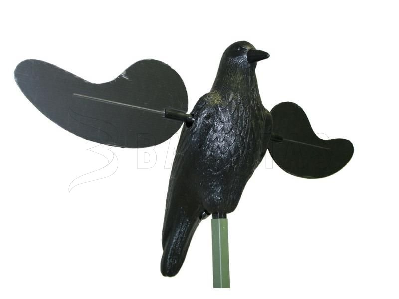 Balabán MOJO Crow - Vrana