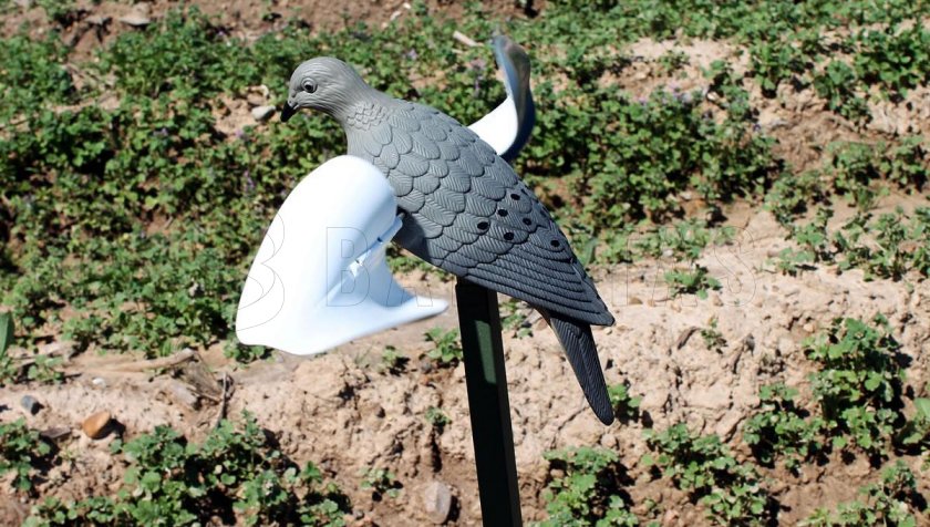 Balaban MOJO Wind Dove - Wind Dove