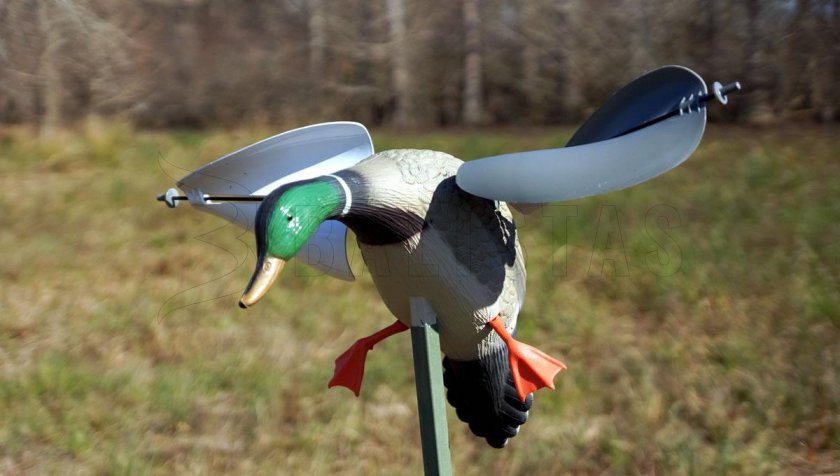 Balabán MOJO Wind Duck Mallard - Veterný Divoký Kačer