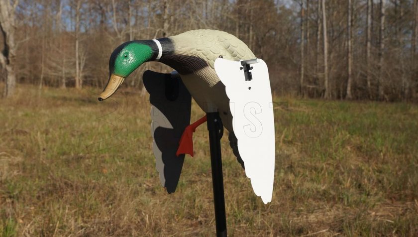 Balaban MOJO Super Mallard - divoká kačica