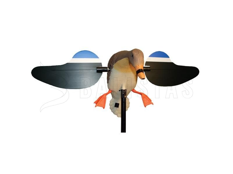 Balabán MOJO Mallard Hen - Divoká kačica