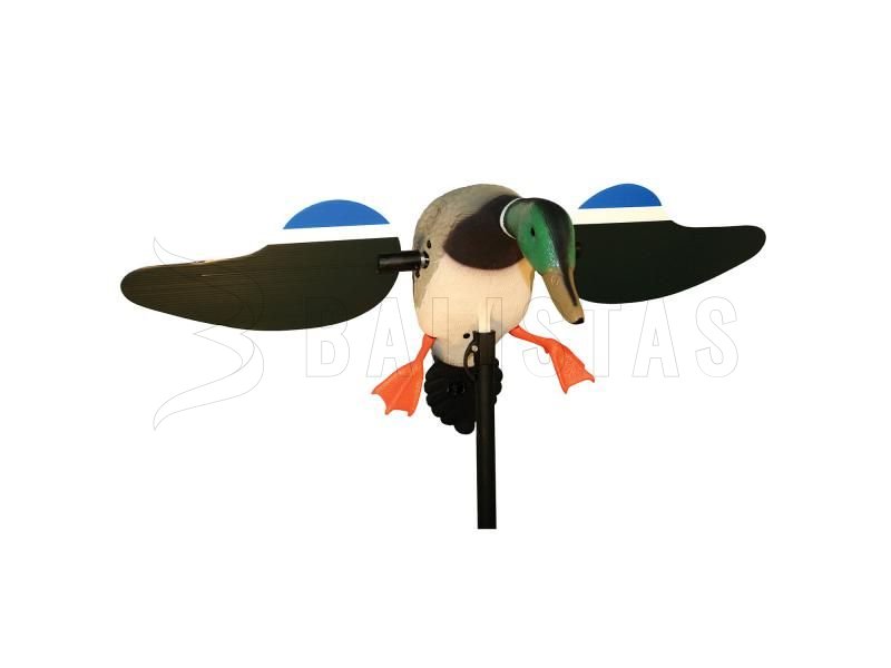 Balaban MOJO Mallard Drake - Divoká kačica