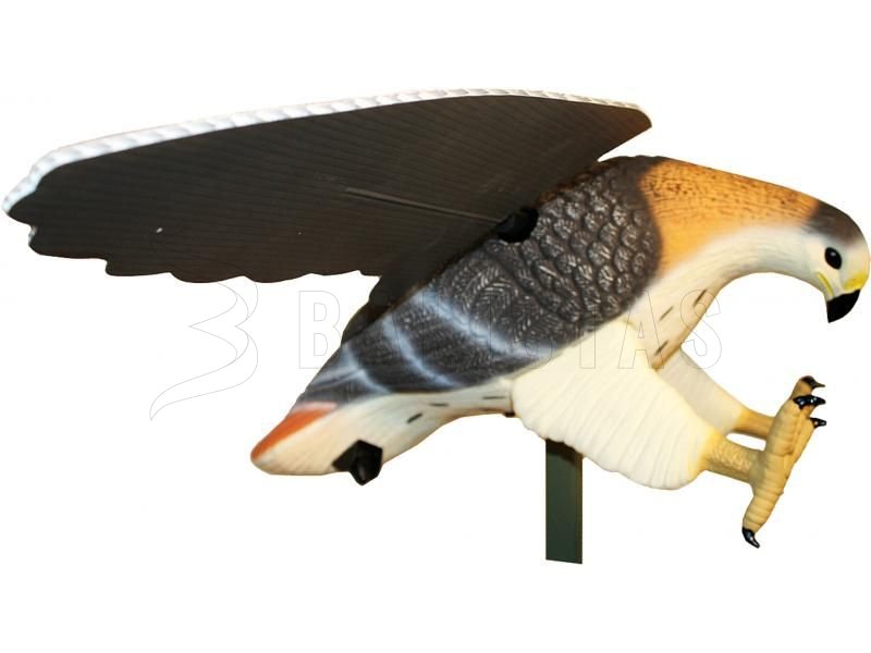Balabán MOJO Hawk - Hawk