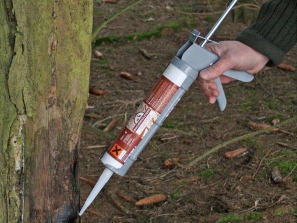 Eurohunt Decht z bukového dreva v tube 310 ml