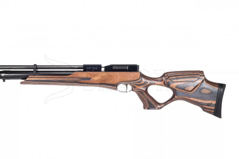HW 100 T Laminated 05.jpg
