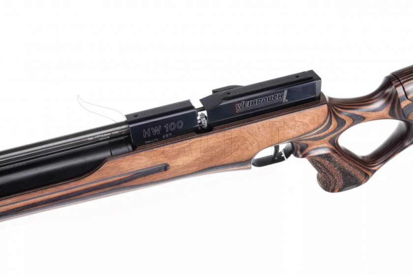 HW 100 T Laminated 06.jpg