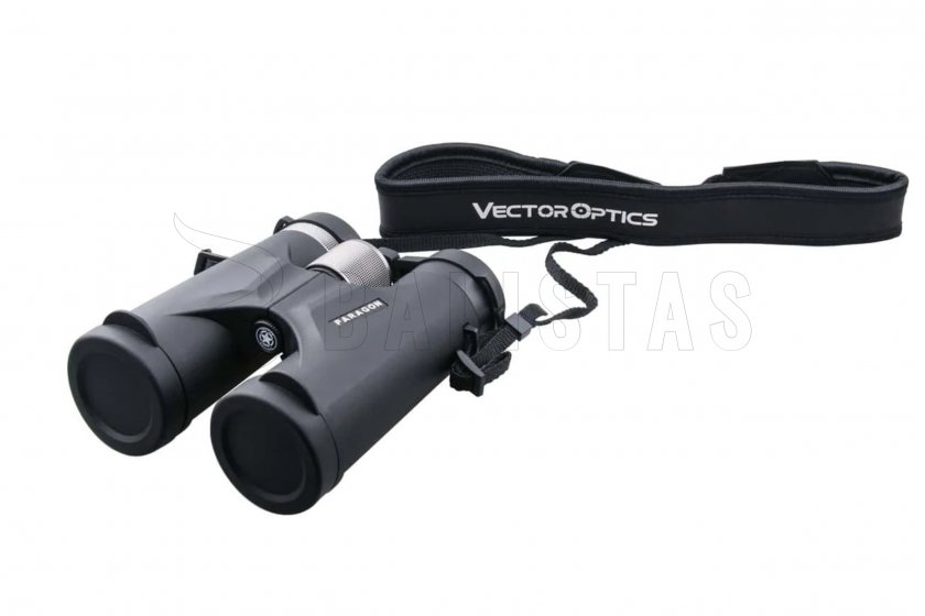 Paragon 10x42 05.jpg