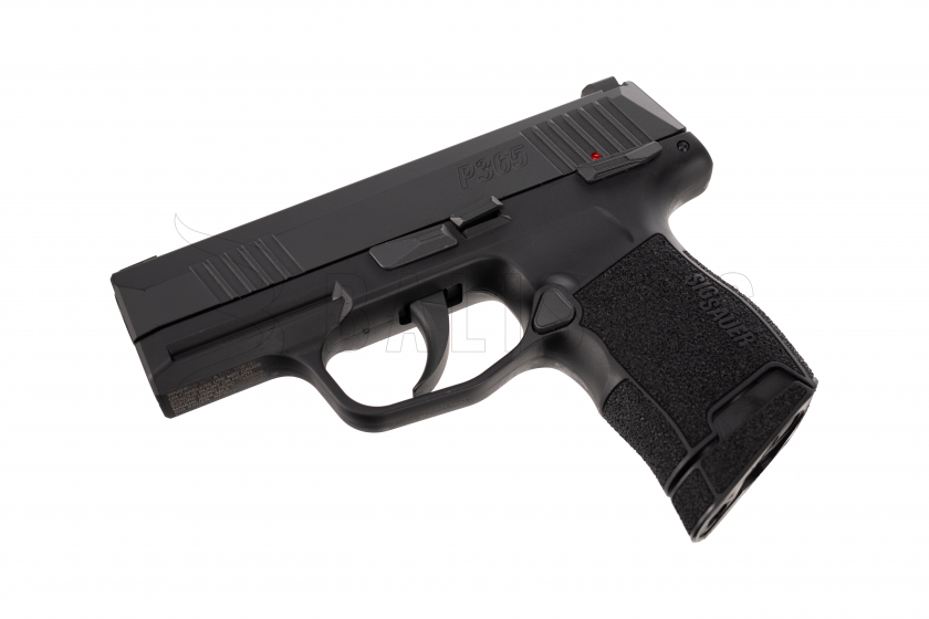SIG365 (1).png